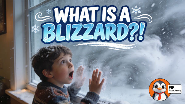 Blizzard Basics: Meaning, Causes, and Preparation Tips